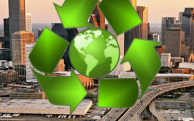 Simple Go Green Tips for Any Business